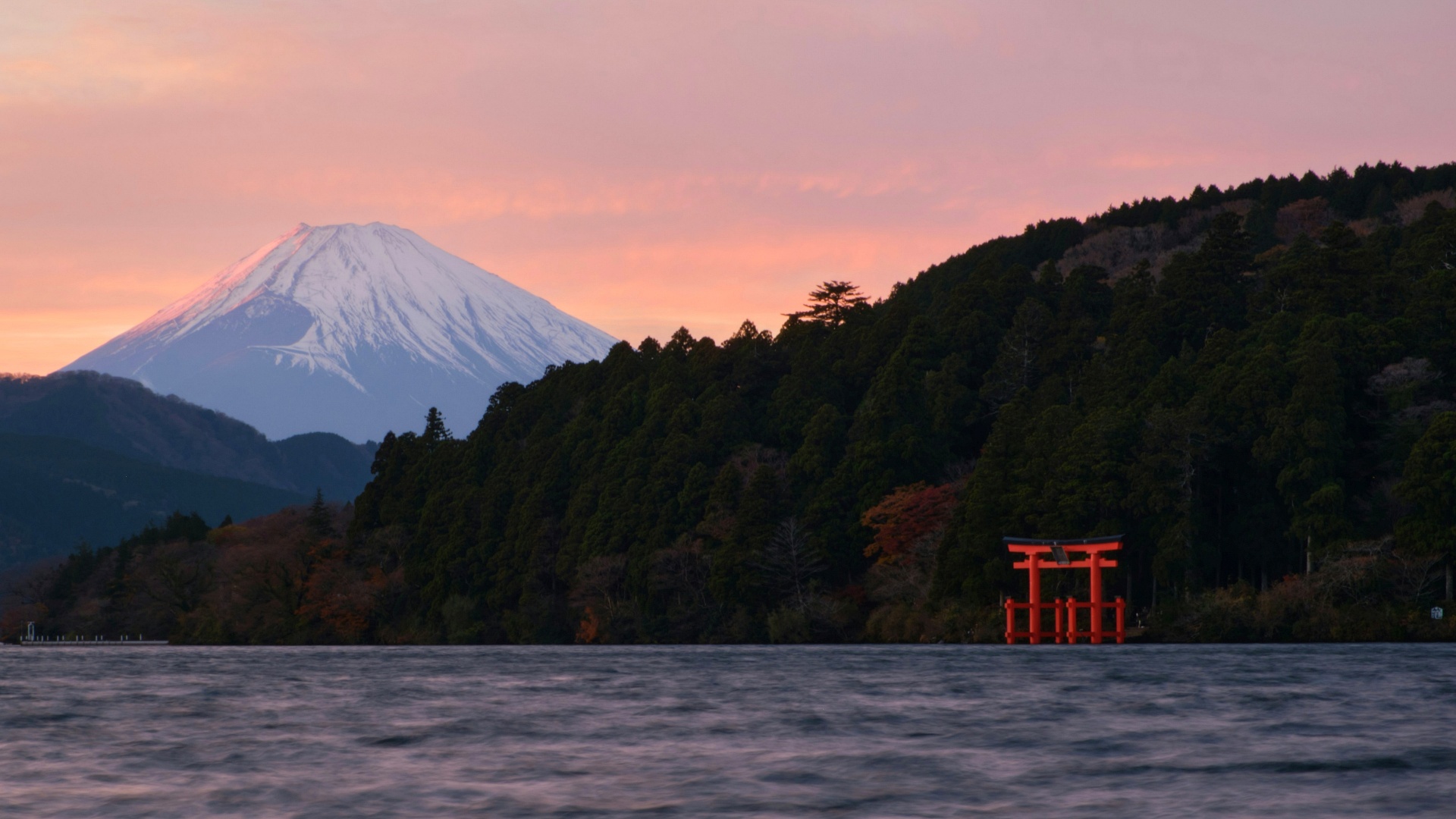 Mt. Fuji & Hakone Private Car Tour
