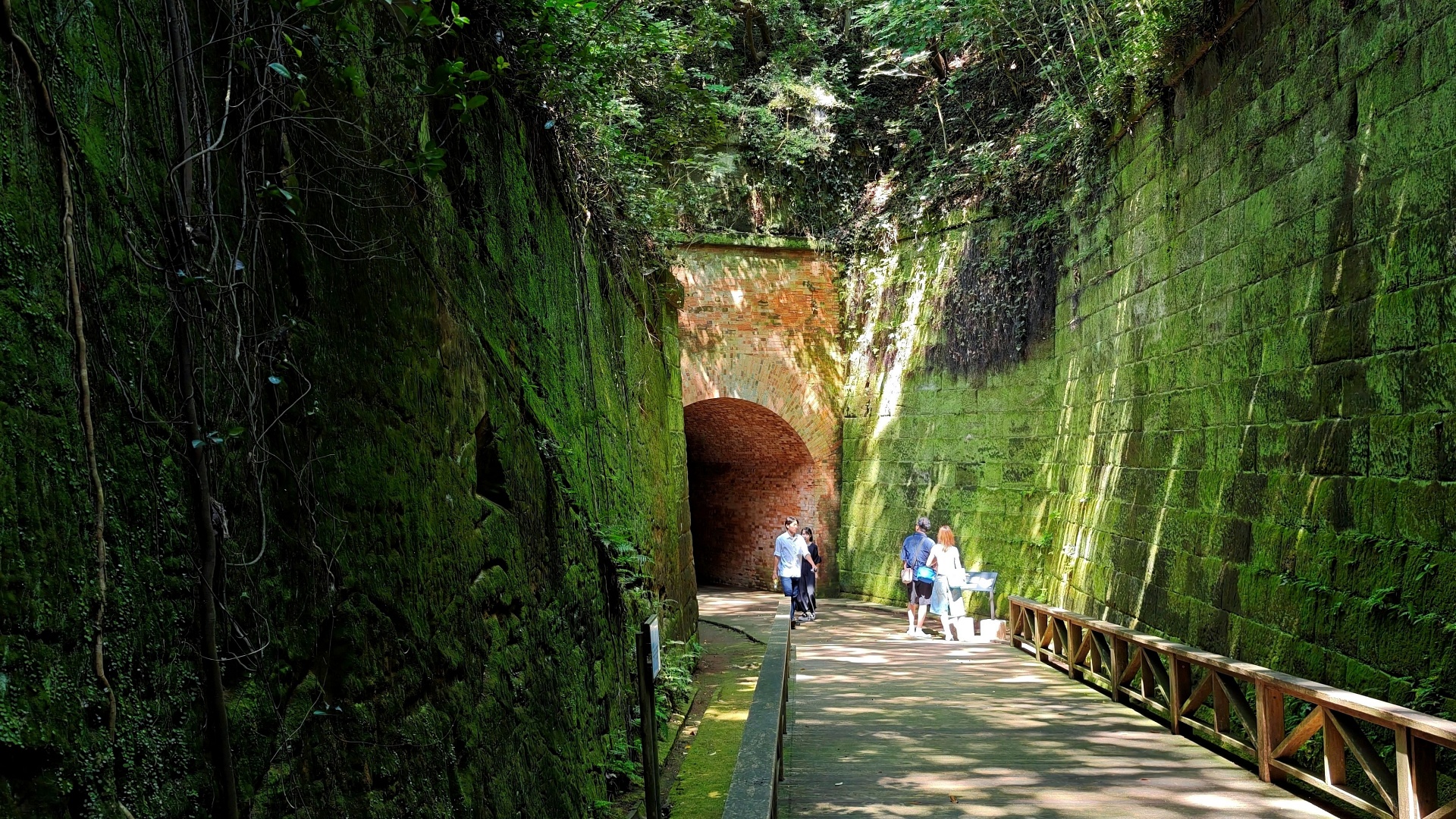 Sarushima Island Tour