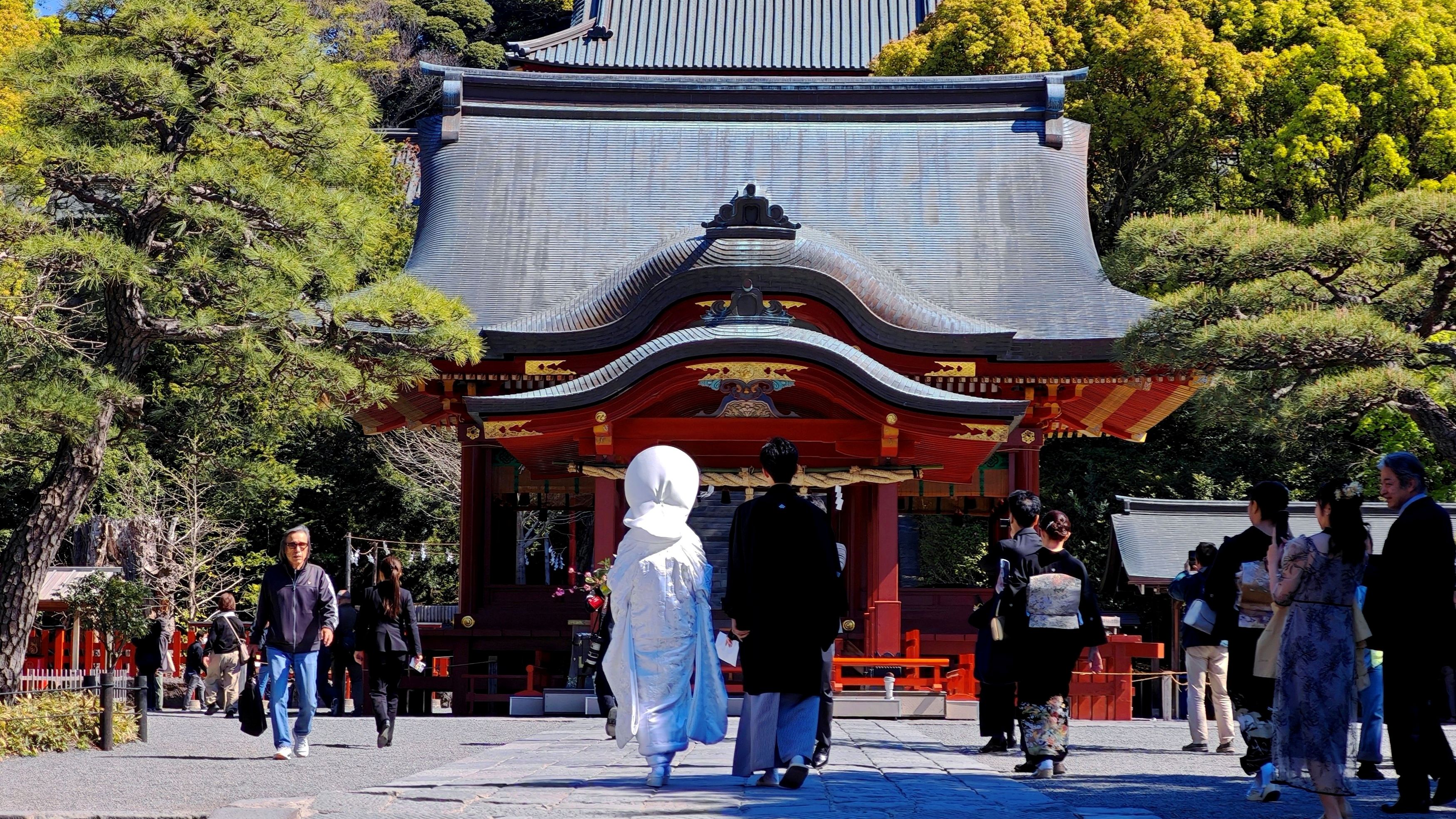 Kamakura Essentials: Temples, History & Local Culture