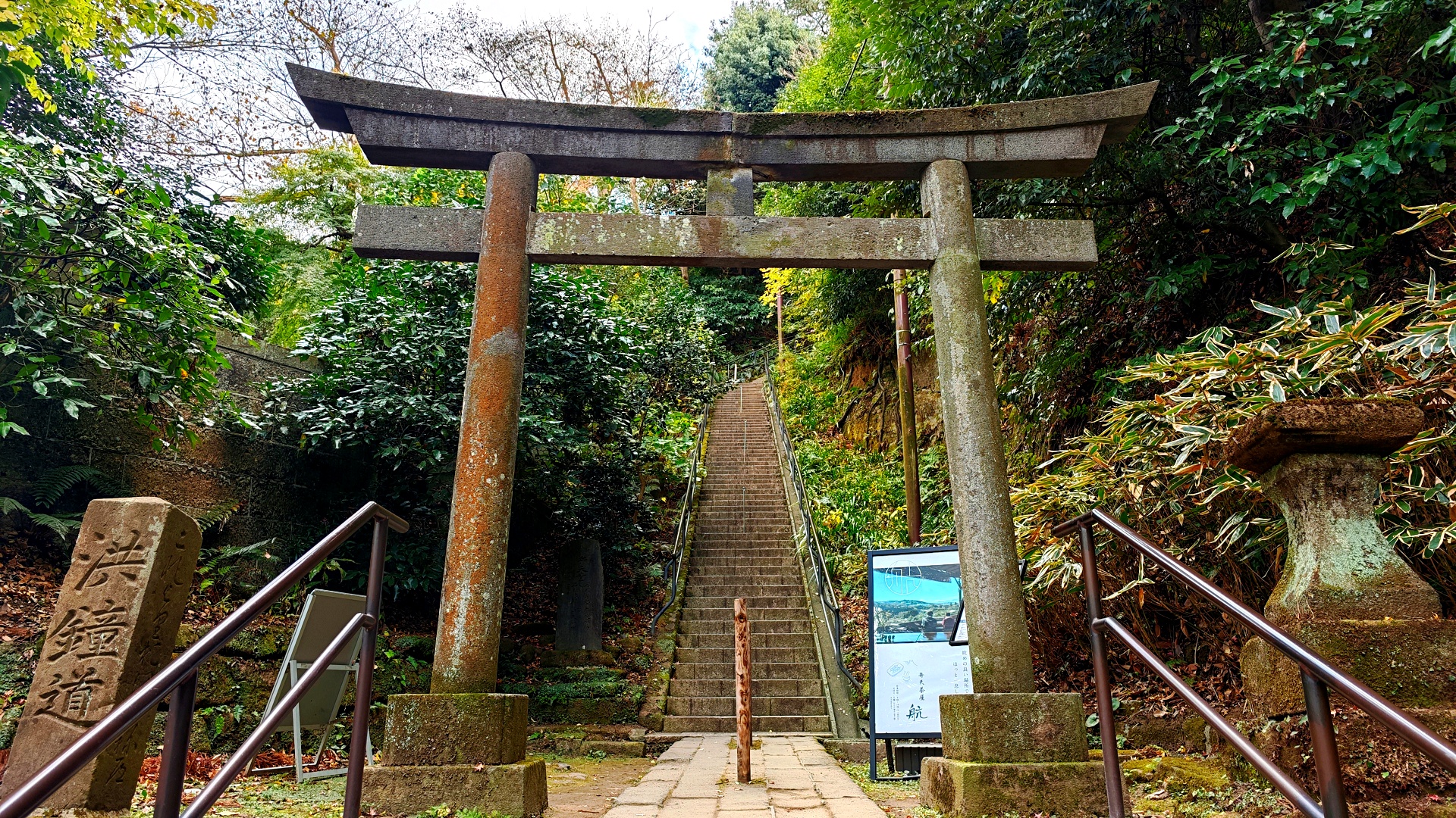 Hidden Kamakura: Secret Shrines & Forest Paths