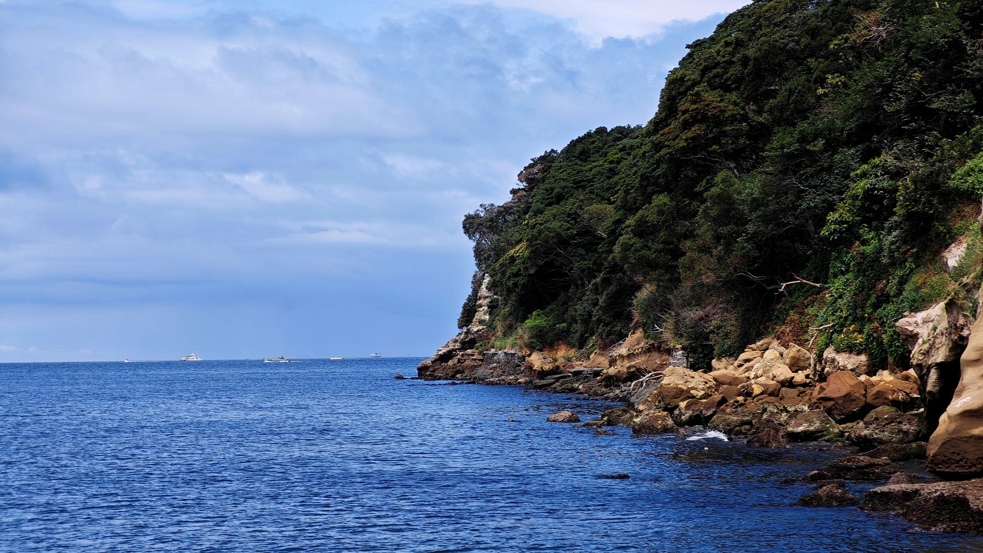 Sarushima Island: History, Nature & Coastal Discovery