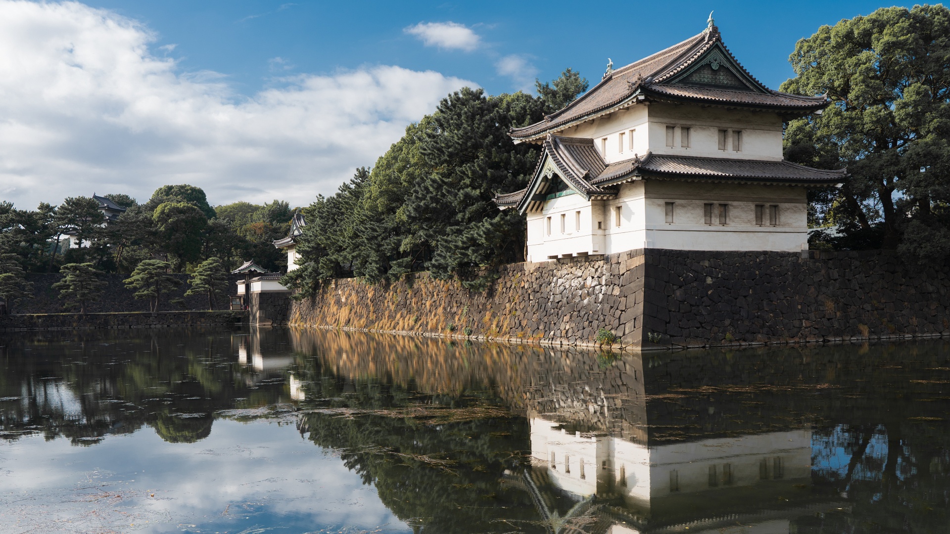 Tokyo City Tour – Full Day (8 hours)