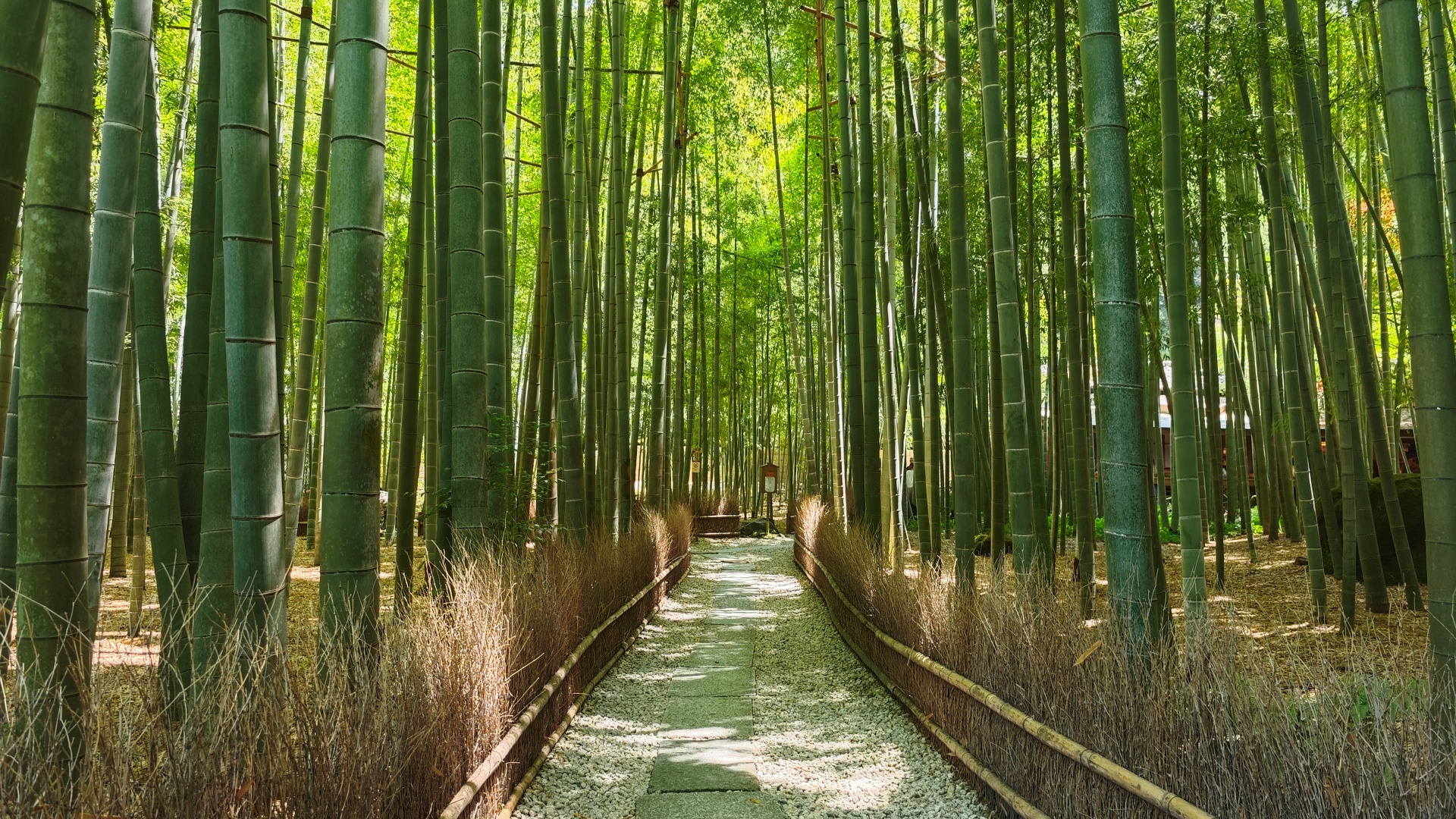 Kamakura - Full Day (8 hours)